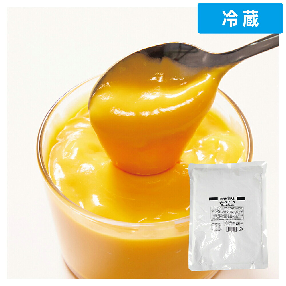【冷蔵便】 【ケース販売 10個入1ケース】ＨＤＳ チーズソース 800g 1ｐｃ｜プロの食材　GET　MARKET