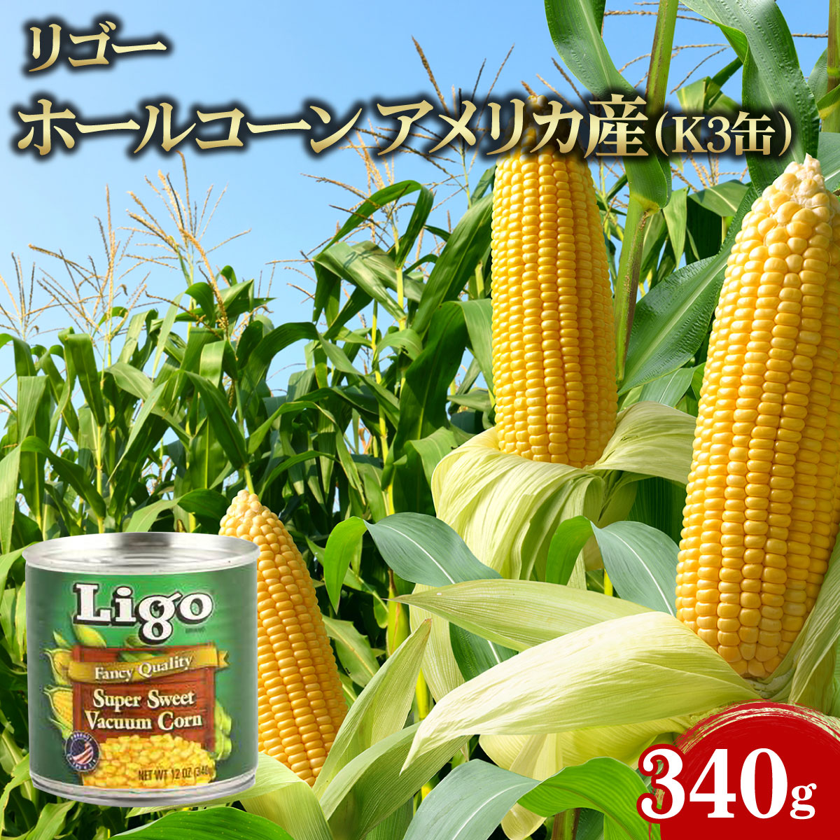 楽天市場】Ligo ホールコーン アメリカ産 #4（固形量285g 内容