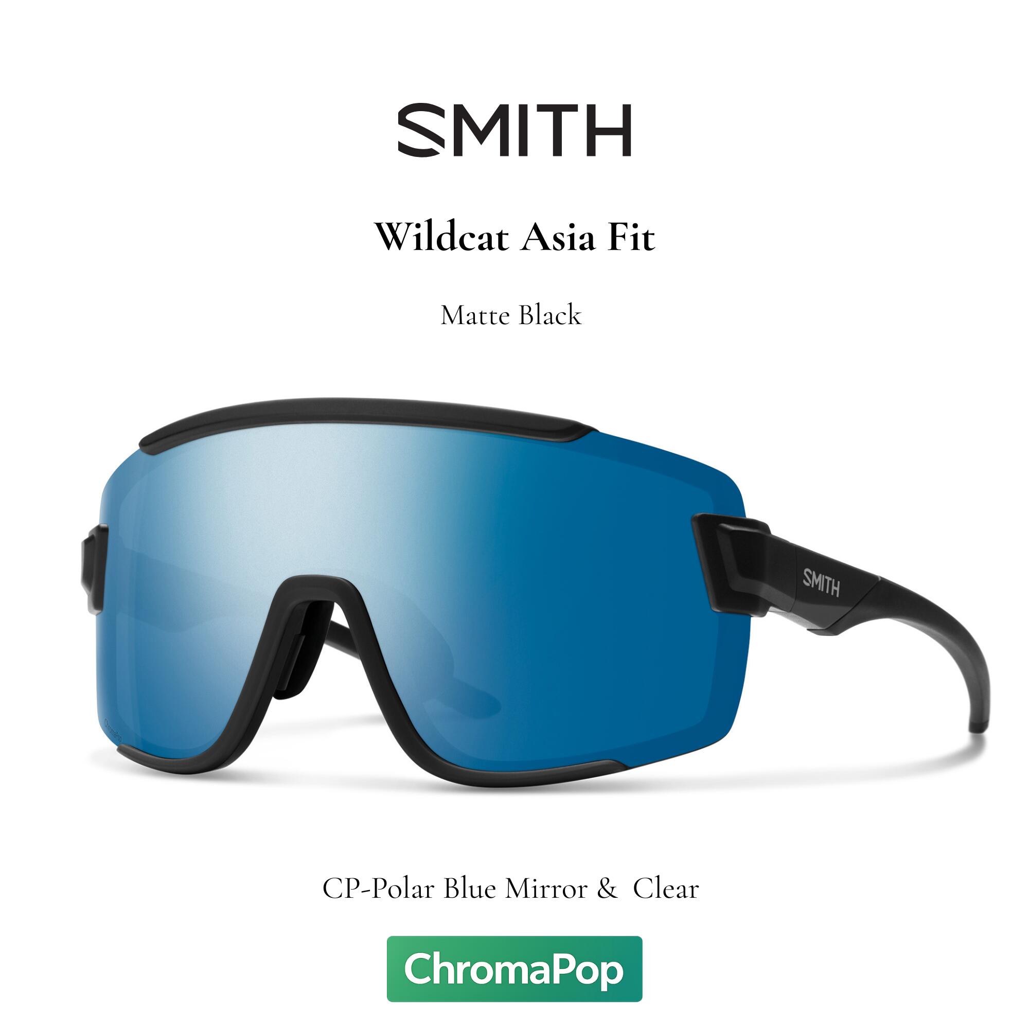 SMITH スミス サングラス 【 Wildcat Matte Black 】 フィッシング アウトドア ファッション サーフィン キャンプ 自転車 ランニング 偏光