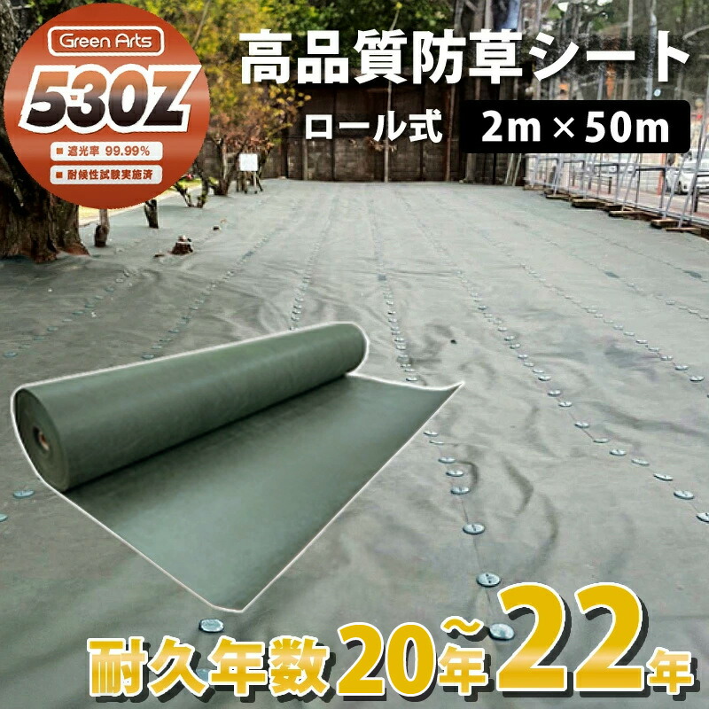 防草居敷き グリーンアーツ 530Z 2m×50m 目覚ましい特性 耐用年数 20年 高耐久 雑草押しとどめる居敷き 雑草 居敷き 防草 半永久 ざっそう 畑 通った跡 さざれ石下 密集して 除草居敷き ぼうそうしーと 雑草打つ手 高透水 PET原材料 不織布 人工芝 芝地 DIY 草 庭 ガーデニング 草 パーキング場 貨物輸送無料