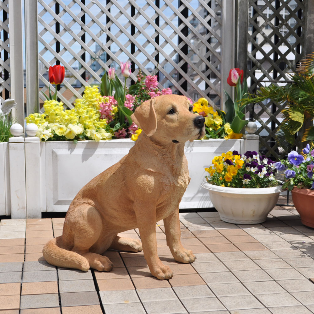 楽天市場】【楽天ランキング1位】【ゴールデンレトリバ ー】本物