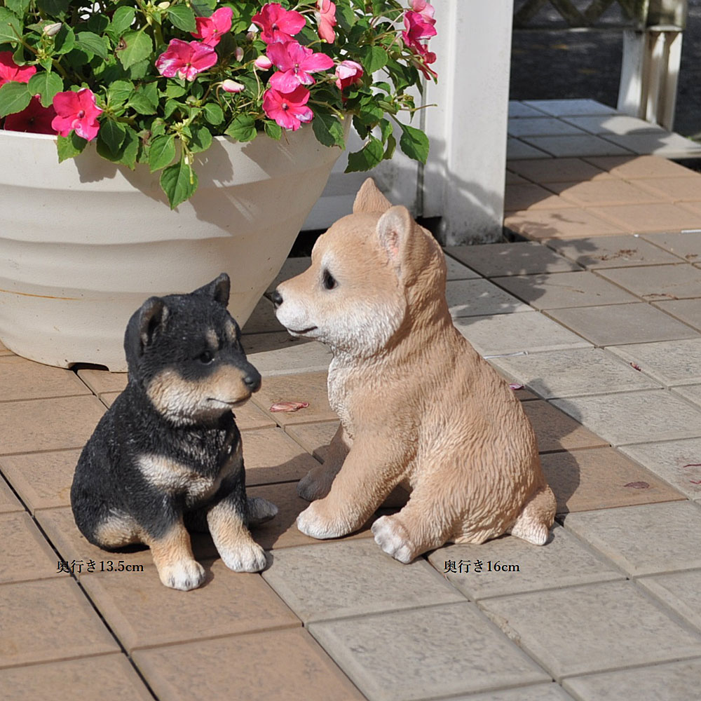 市場 送料無料 ガーデニング雑貨 柴犬 庭 ガーデン ガーデニング シバイヌ 豆柴黒 豆柴 オーナメント 玄関 雑貨 クロ しば犬 犬置物