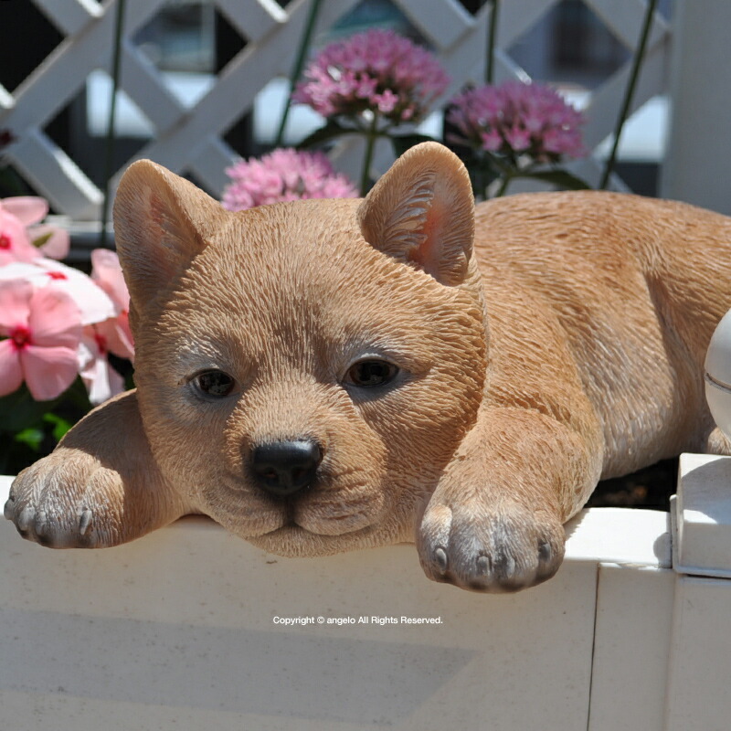 送料無料 ギフト対応伏せ柴ｂ 犬 庭 玄関 シバ犬 しばいぬ ガーデニング ガーデン 雑貨 オーナメント おしゃれ 置物 あす楽 おうち時間 大人かわいい雑貨 大好き