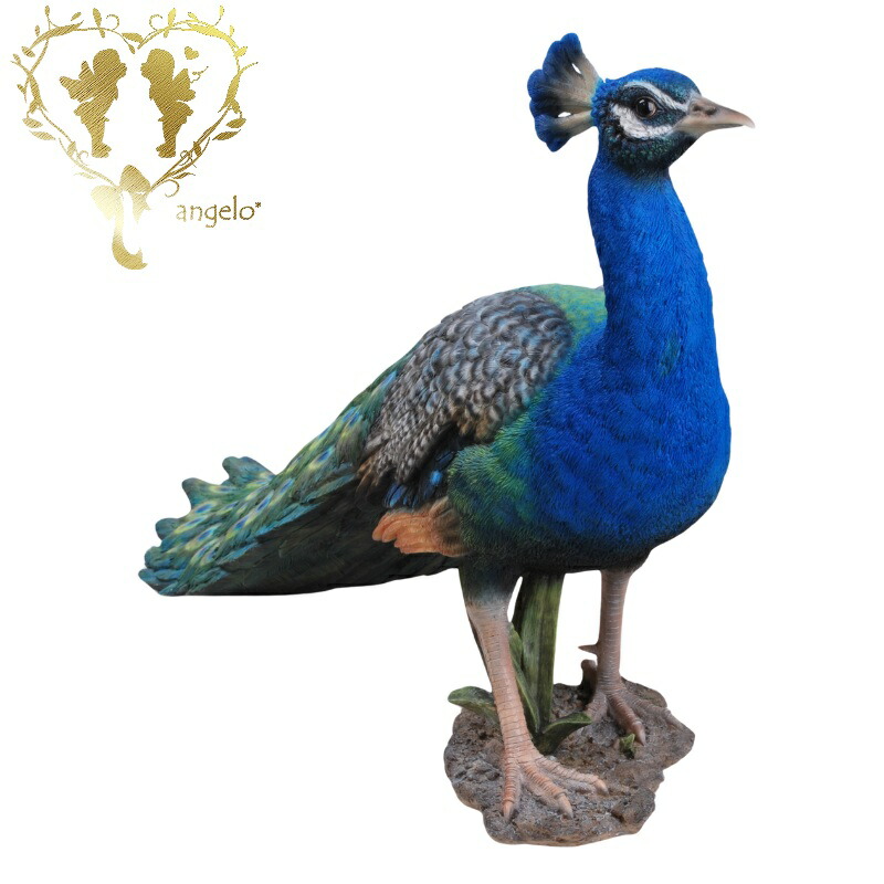 楽天市場】孔雀 Peacock 強化プラスチック (FRP) アートオブジェ