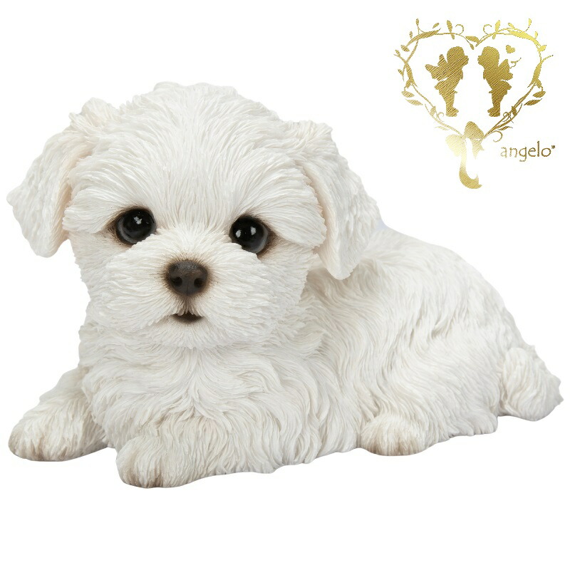 楽天市場】犬 置物 大きい おすわりマルチーズ 高さ34cm woobia
