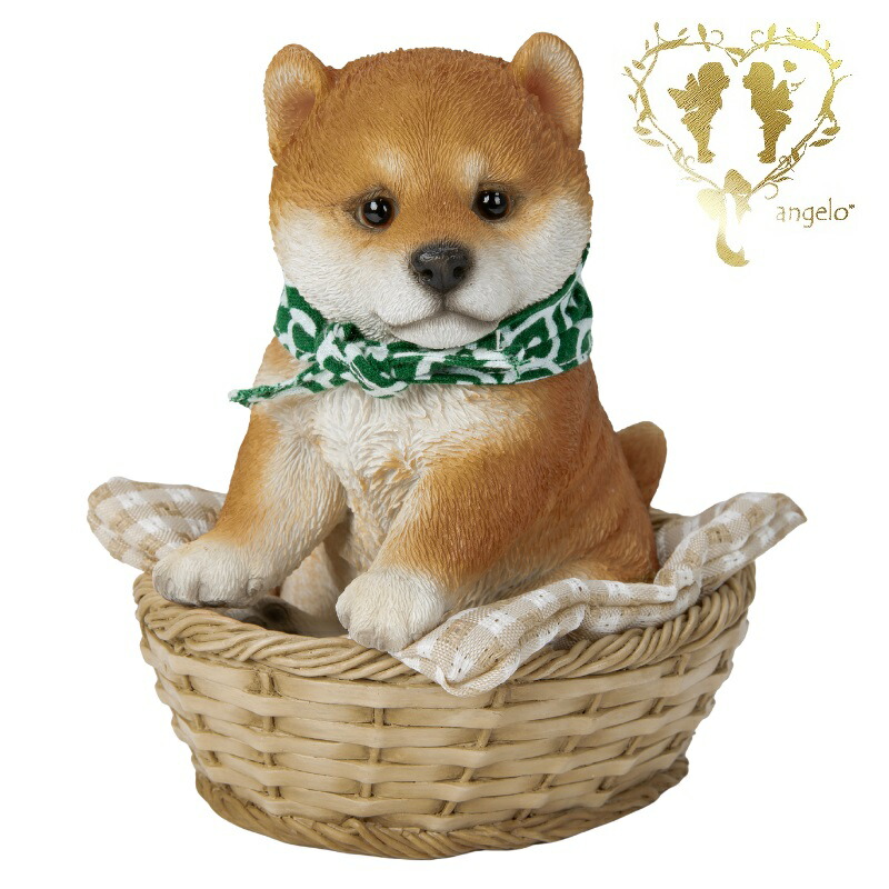 楽天市場】柴犬 かご 犬置物 かわいい置物 鉢植え 松くん玄関に