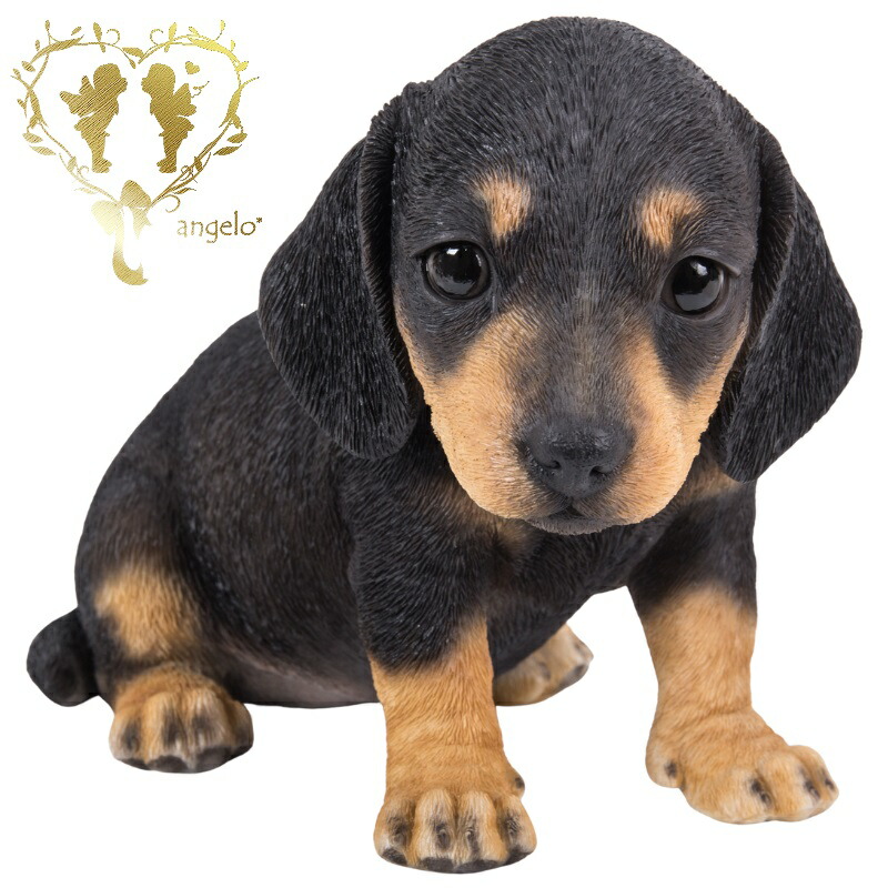楽天市場】犬の置物 ミニチュアダックスフンド N15381 黒 いぬ