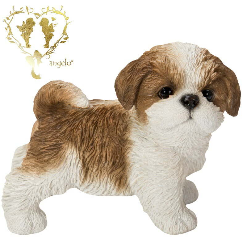楽天市場】犬の置物 シーズー ぶらさがりドッグ ワンちゃん いぬ