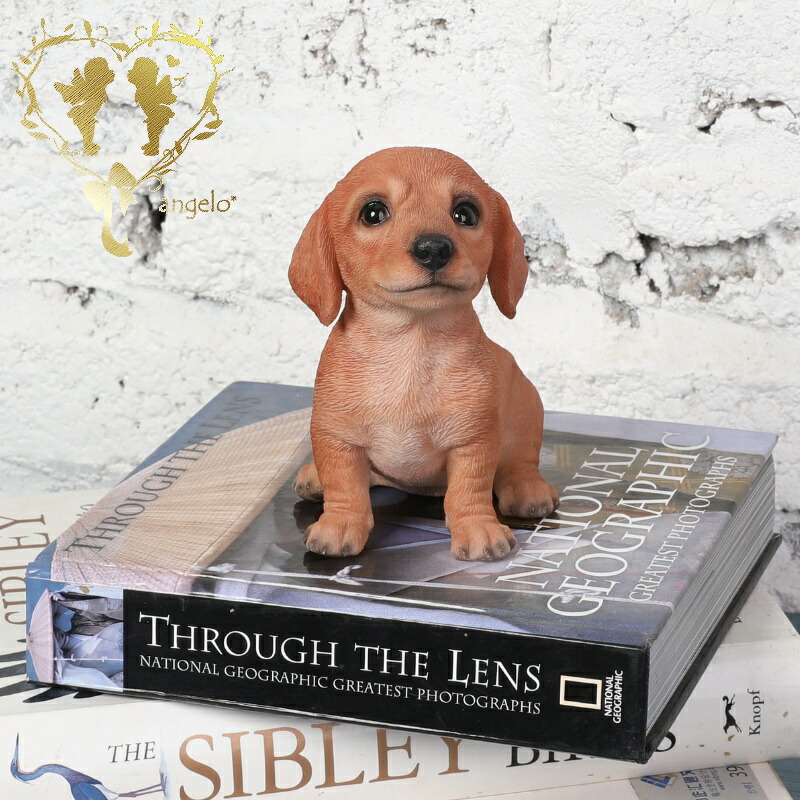 楽天市場】送料無料 犬の置物 ダックスフンド T14056 いぬ イヌ