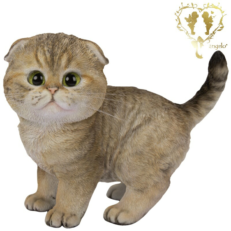 ウォシュレット！！！(スコティッシュ) スコ座りスコティッシュフォールドたれ耳茶トラ｜WooBia公式オンライン