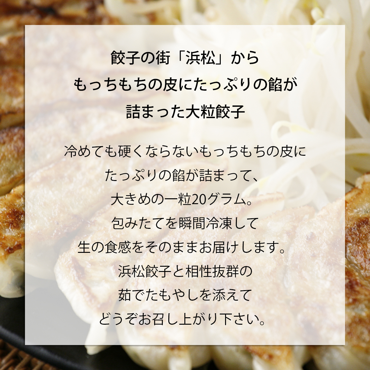 母の日浜松餃子60個＋宇都宮餃子60個、合計120個セット