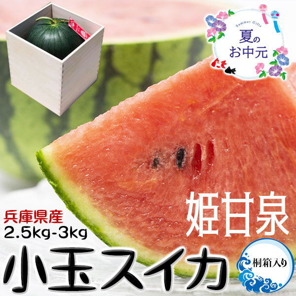 【最大2000円OFFクーポン】小玉スイカ　姫甘泉（又は姫甘泉ブラック）ひめかんせん　2.5kg〜3kg　1玉　桐箱入り・贈答用【兵庫県産・アルティメットスイート・特秀クラス】高糖度西瓜　すかい｜短期季節限定・ギフト　収穫後7月13日〜8月31日の期間順次出荷予定　送料無料画像