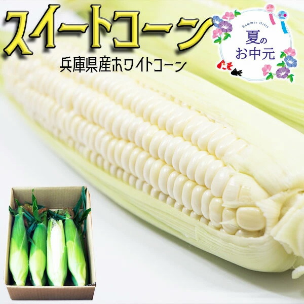 【最大2000円OFFクーポン】スイートコーン 2.5kg(1箱) 8本前後【兵庫県産・アルティメットスイート・特秀クラス】品種：アイスクリームコーン　高糖度　ホワイト系トウモロコシ 白いおおもの｜短期季節限定・朝どれ家庭用ギフト・配送期間：7月初旬〜下旬　送料無料画像