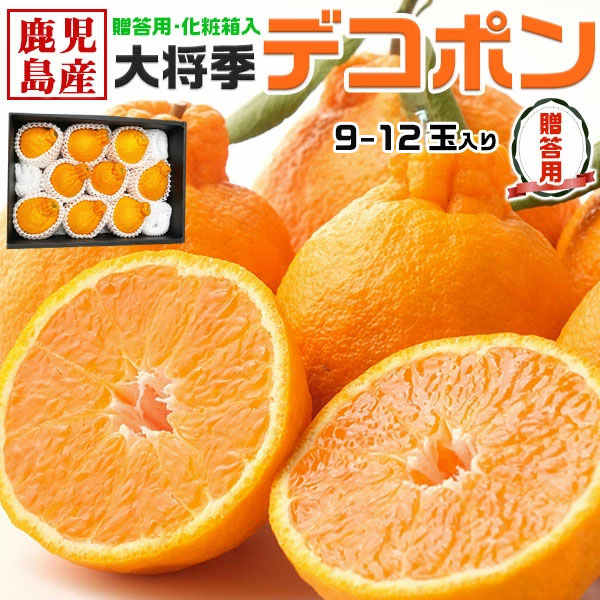 大将季 デコポン みかん 贈答用 不知火 化粧箱 9-12玉入 |光糖度センサー検査済・高級みかん【鹿児島県産】手土産・お供え・ギフト・送料無料