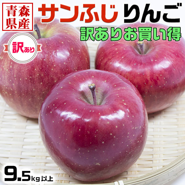 青森県産 サンふじ　りんご 9.5kg以上 (約10キロ)  訳あり・ご家庭用｜家族送料無料