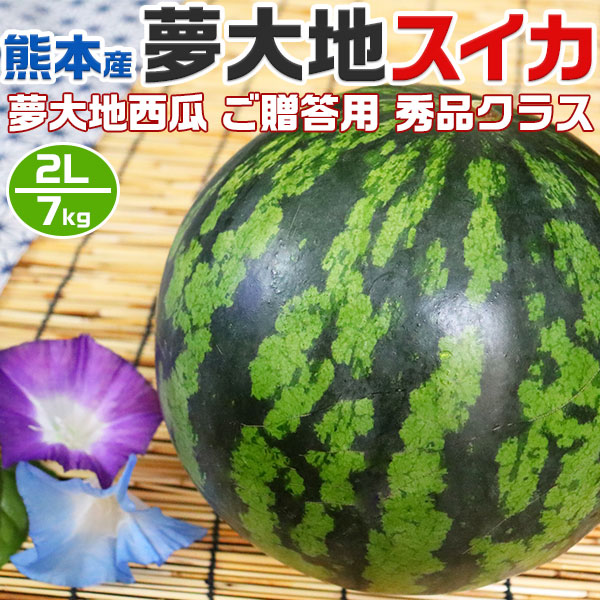 【予約】熊本産　夢大地　すいか  秀品　2Lサイズ　7kg　1玉入 スイカ  熊本県産西瓜　贈答用　母の日　父の日　プレゼント　フルーツ　果物　お中元・ギフト・すいかギフト・ 西瓜 送料無料