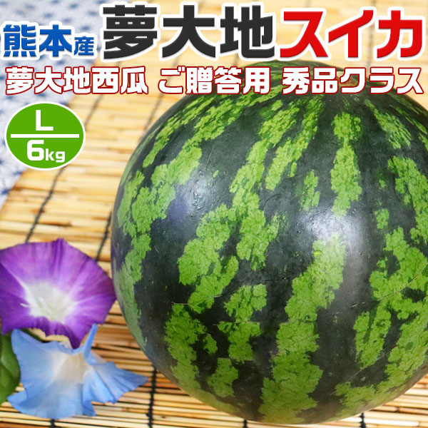【予約】熊本産　夢大地　すいか  秀品　Lサイズ　6kg　1玉入 スイカ  熊本県産西瓜　贈答用　母の日　父の日　プレゼント　フルーツ　果物　お中元・ギフト・すいかギフト・ 西瓜 送料無料