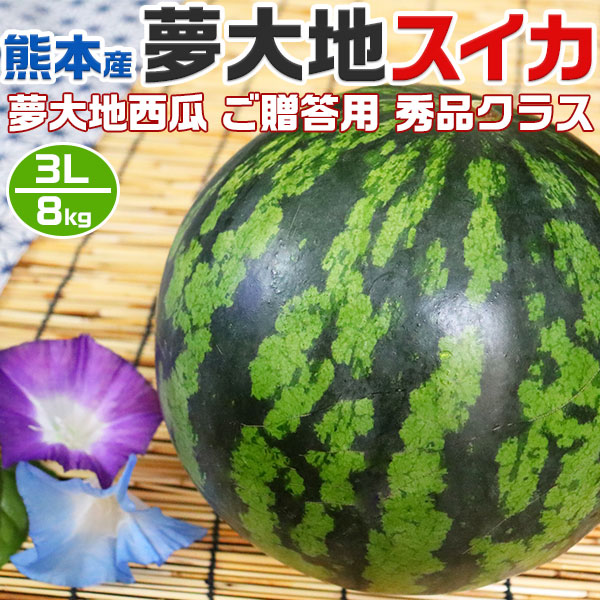 熊本産　夢大地　すいか  秀品　3Lサイズ　8kg　1玉入 スイカ  熊本県産西瓜　贈答用　母の日　父の日　プレゼント　フルーツ　果物　お中元・ギフト・すいかギフト・ 西瓜 送料無料