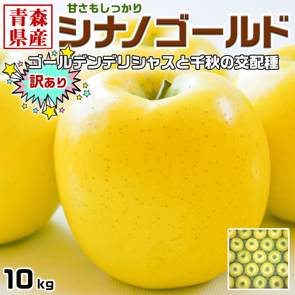 りんご 訳あり 10kg 青森県 シナノゴールド サイズ不揃い【常温便指定】林檎・家庭用　お買い得品・家族へのプレゼント　お試し　ご家庭用 糖度保証 　SDGS　果物　フルーツ　アップル　送料無料