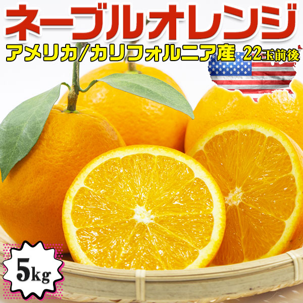 高糖度　ネーブルオレンジ　5kg  22玉前後　園地指定　糖度保証【アメリカ・カリフォルニア州産】Sunkist Navel Orange/From California U.S.A.  お中元　父の日　贈物　プレゼント　ネイブルオレンジ　フルーツ　柑橘・送料無料