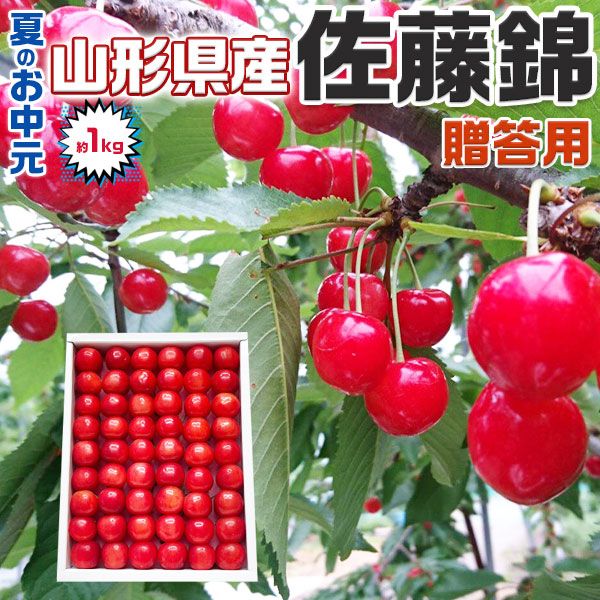 さくらんぼ 佐藤錦 約1kg さとうにしき 山形県産   赤い宝石 サクランボ｜父の日　フルーツ　お中元・お見舞い・お供え・高級果物・贈答用・ギフト・送料無料