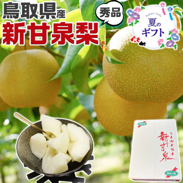 早期　予約品　鳥取県産  梨   新甘泉梨   秀品 5kg 18～22玉入  糖度14度前後 贈答用【しんかんせん鳥取県産ナシ】遅れてごめんね敬老の日・ギフト・送料無料　常温便