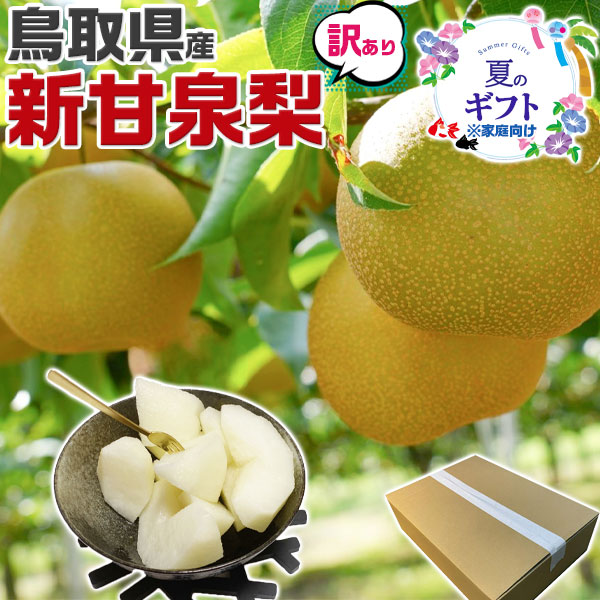 早期　予約品　鳥取県産  梨  訳あり  新甘泉梨   約5kg（6～20玉）糖度14度前後 ご家庭用【しんかんせん鳥取県産ナシ】遅れてごめんね敬老の日・家庭用・ギフト・送料無料　常温便