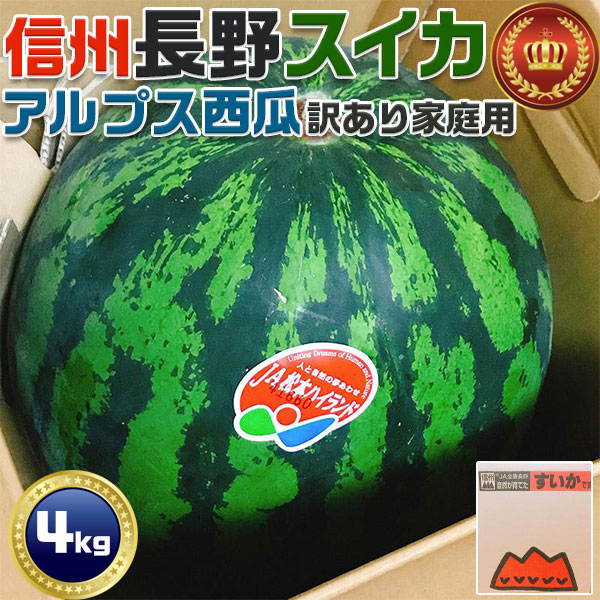 高知県産スイカ大玉、即購入OK 高知県産スイカ大玉、即購入OK - メルカリ