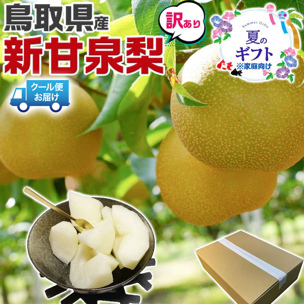 早期　予約品【クール便指定】鳥取県産  梨  訳あり  新甘泉梨   約10kg（12～40玉）糖度14度前後 ご家庭用【しんかんせん鳥取県産ナシ】遅れてごめんね敬老の日・家庭用・ギフト・送料無料