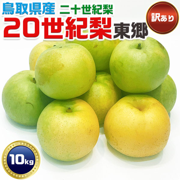 20世紀 梨 東郷 訳あり 鳥取県産 二十世紀  約10Kg　鳥取ブランド ご家庭用 　家庭用ギフト【予約】2025年9月中旬以降の出荷予定　送料無料