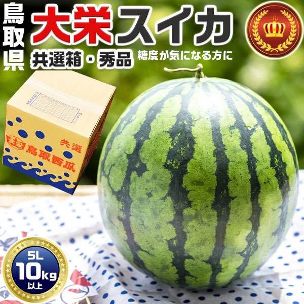 鳥取県産　大栄すいか 秀品　大栄西瓜 贈答用 5Lサイズ 10kg 特大　JA鳥取中央・共選段ボール箱入り【鳥取県産西瓜】お中元・家庭用・スイカ ギフト・送料無料