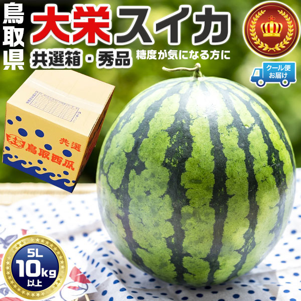 鳥取県産　大栄すいか 秀品【クール便指定】大栄西瓜 贈答用 5Lサイズ 10kg 特大　JA鳥取中央・共選段ボール箱入り【鳥取県産西瓜】お中元・家庭用・スイカ ギフト・送料無料