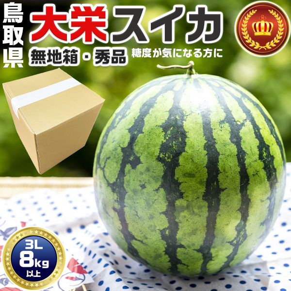 鳥取県産　大栄すいか 秀品　大栄西瓜 贈答用 3Lサイズ 8kg 以上　無地段ボール箱入り【鳥取県産西瓜】お中元・家庭用・スイカ ギフト・送料無料