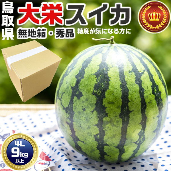 鳥取県産　大栄すいか 秀品　大栄西瓜 贈答用 4Lサイズ 9kg 以上　無地段ボール箱入り【鳥取県産西瓜】お中元・家庭用・スイカ ギフト・送料無料