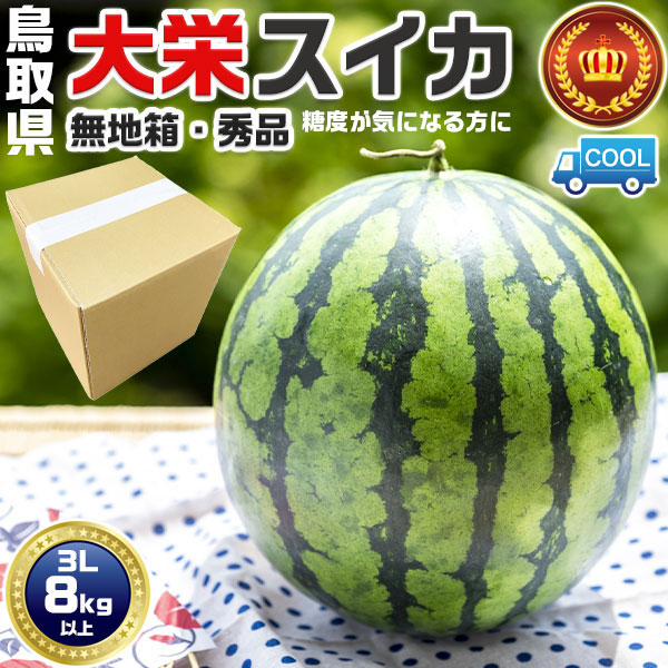 鳥取県産　大栄すいか 秀品【クール便指定】大栄西瓜 贈答用 3Lサイズ 8kg 以上　無地段ボール箱入り【鳥取県産西瓜】お中元・家庭用・スイカ ギフト・送料無料