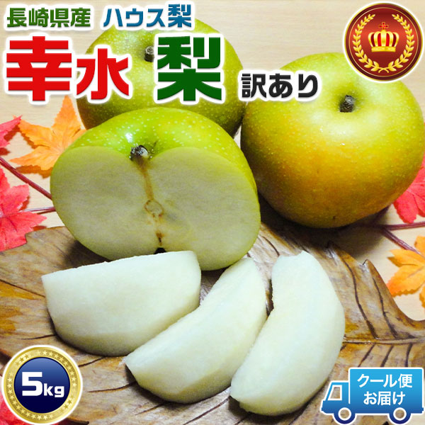 【クール便指定】幸水梨 長崎県産 ハウス 幸水梨　訳あり 5Kg 家庭用 なし 梨 ナシ　ご家庭用　無地段ボール箱　夏ギフト お中元・家庭用ギフト　送料無料