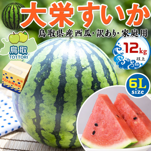 鳥取県産　大栄すいか　超特大　大栄西瓜  6Lサイズ 12kg以上　訳あり・家庭用(贈答用と同じ糖度)　段ボール箱入り【鳥取県産西瓜】お中元・家庭用・すいかギフト・送料無料