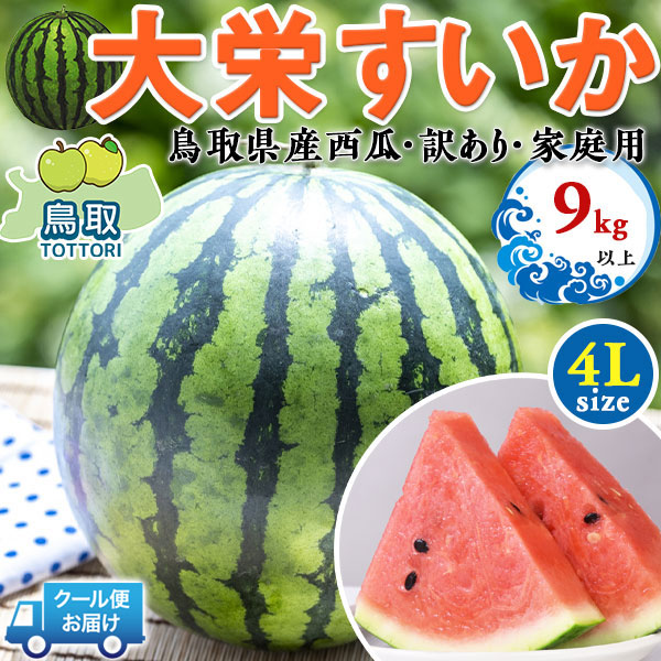 鳥取県産　大栄すいか　特大　大栄西瓜  4Lサイズ 9kg以上　訳あり  【クール便指定】・家庭用(贈答用と同じ糖度)　段ボール箱入り【鳥取県産西瓜】お中元・家庭用・すいかギフト・送料無料
