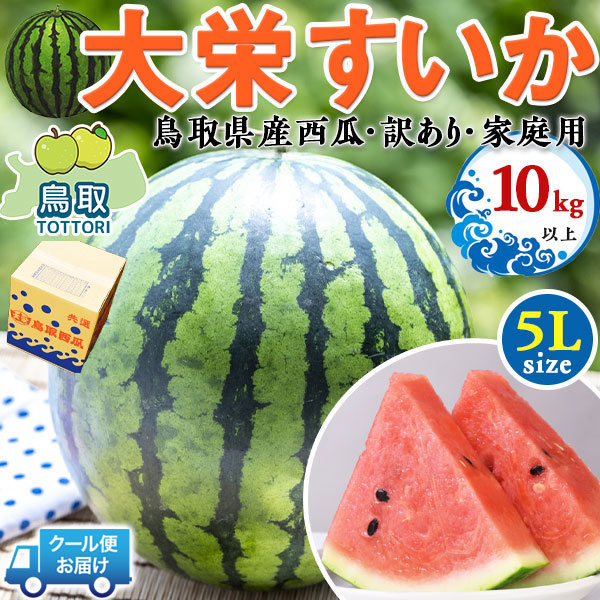 鳥取県産　大栄すいか　超特大　大栄西瓜  5Lサイズ 10kg以上　訳あり  【クール便指定】・家庭用(贈答用と同じ糖度)　段ボール箱入り【鳥取県産西瓜】お中元・家庭用・すいかギフト・送料無料