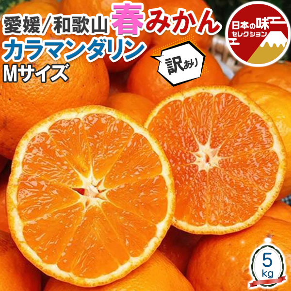 春 みかん カラマンダリン 訳あり 家庭用 5kg　Mサイズ 【愛媛県又は和歌山県産】高糖度 柑橘　果物 母の日 フルーツ ギフト プレゼント 送料無料