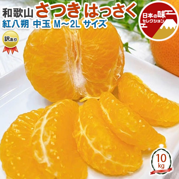さつき はっさく 紅八朔 みかん 10kg　訳あり 家庭用　中玉 M～2Lサイズ【和歌山県有田産】べにはっさく　手土産　母の日　お供え　プレゼント　ギフト　送料無料