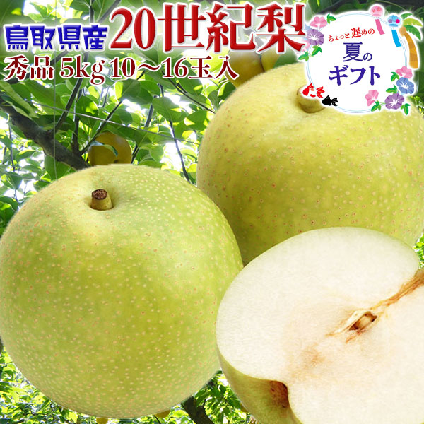 鳥取県産  梨  秀品   20世紀梨　5kg 10～16玉入  贈答用　青梨　遅めの夏ギフト・遅れてごめんねお中元・敬老の日・ギフト・送料無料
