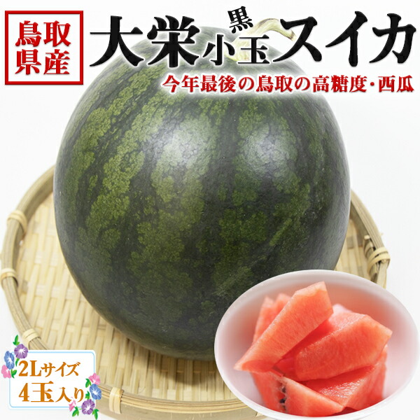 楽天市場】【送料無料】高知産長引 超大玉 スイカ（すいか） 1玉