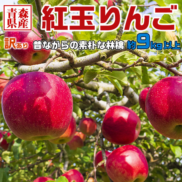 青森県産 紅玉りんご 9kg以上(10kg箱)  訳あり・ご家庭用｜家族・家庭向け・アップルパイなどお料理に最適送料無料
