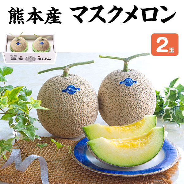 メロン マスクメロン 2玉  贈答用「果物の王様」百貨店品質の高級品・プレゼント　感謝　敬老の日　果物　母の日　父に日　お中元　高糖度メロン　フルーツ　ギフト送料無料