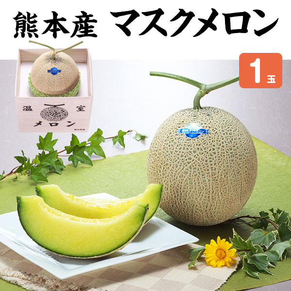 メロン マスクメロン 1玉 　贈答用「果物の王様」百貨店品質の高級品・プレゼント　果物　敬老の日　感謝　母の日　父の日　お中元　高糖度メロン　フルーツ　ギフト送料無料