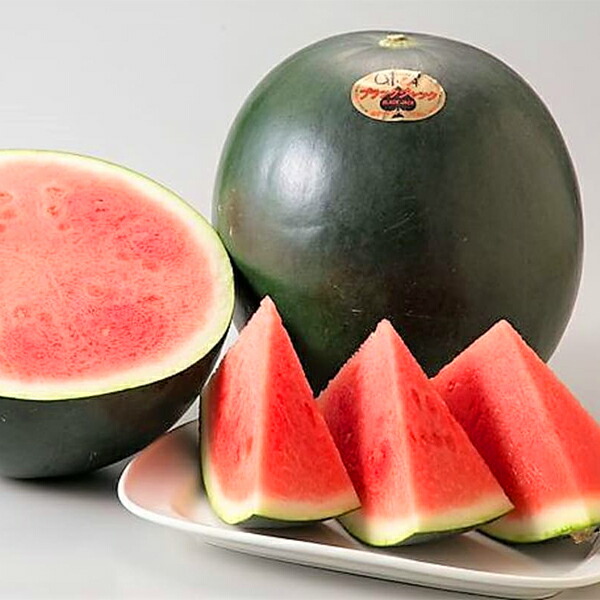 ナチュラル休息級 等 ブラックジャック スイカ 2宝珠 熊本県御産 1ケイス 6kg 2玉 プラス12kg Tvでトピックの希覯 元なしスイカ つけ届け役割り 音物 貨物輸送無料 5月球6日 5月31日マーケティング押さえるmin Cannes Encheres Com