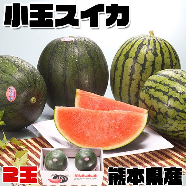 小玉 スイカ 熊本県産 すいか 西瓜 1箱 小玉 1.8kg × 2玉 お取り寄せ フルーツ 高品質  贈答用 母の日 父の日お中元 お土産 ギフト 送料無料　100512
