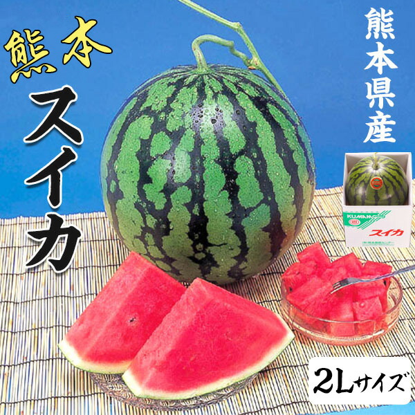 スイカ 熊本県産　1箱2Lサイズ(1玉) 　高級すいか/等級：秀(赤)　贈答用　ギフト・送料無料