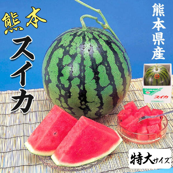 スイカ 特大サイズ 熊本県産 すいか 1箱 8kg × 1玉 セット 高級すいか 等級：秀(赤)  贈答用 　高級西瓜 　プレゼント　果物　母の日　希少すいか　フルーツ　ギフト　・送料無料